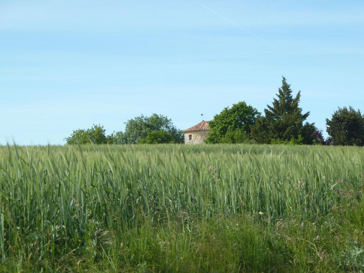Chateau De Puissentut Bed and Breakfast Homps  Exterior foto